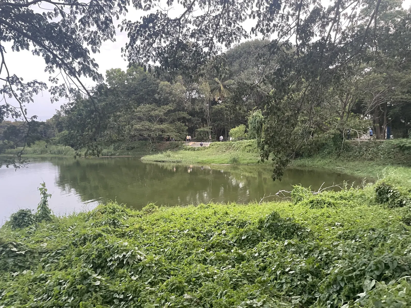 Open water and lake margins at Kukkarahalli, habitat for waterbirds